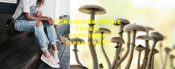 мет Абаза