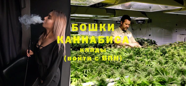 шишки Абдулино