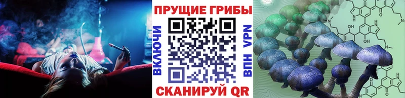 hydra ONION  Бугуруслан  Псилоцибиновые грибы Psilocybine cubensis 